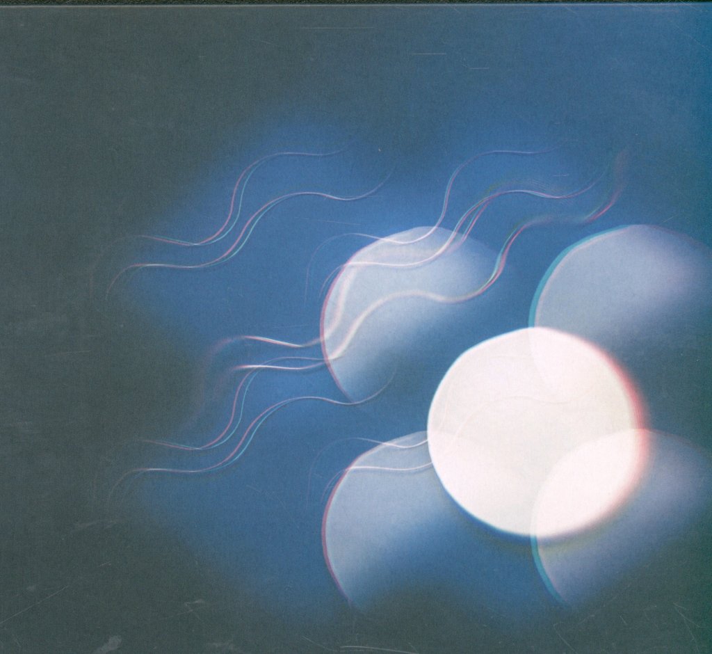 Mutual Benefit - Thunder Follows The Light - Cd