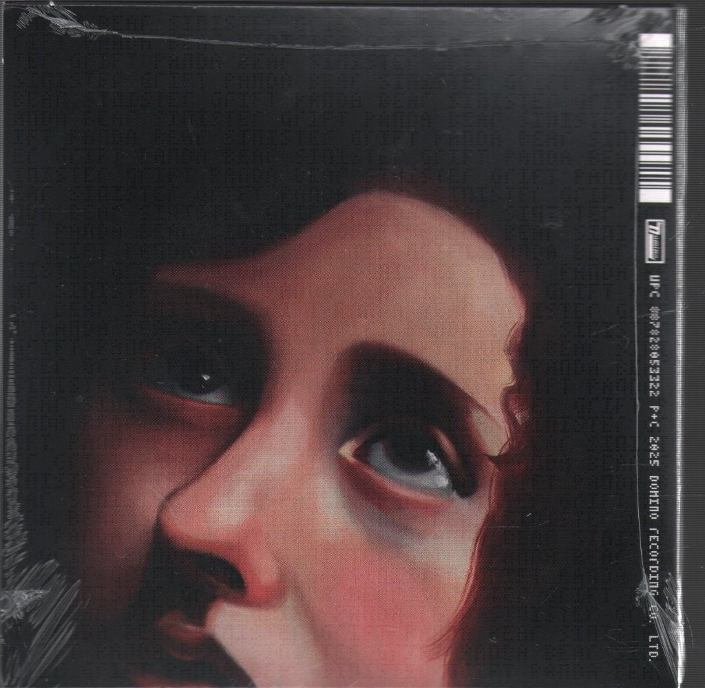 Panda Bear - Sinister Grift - Cd