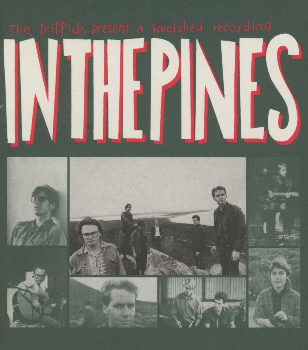 Triffids - In the Pines - Cd