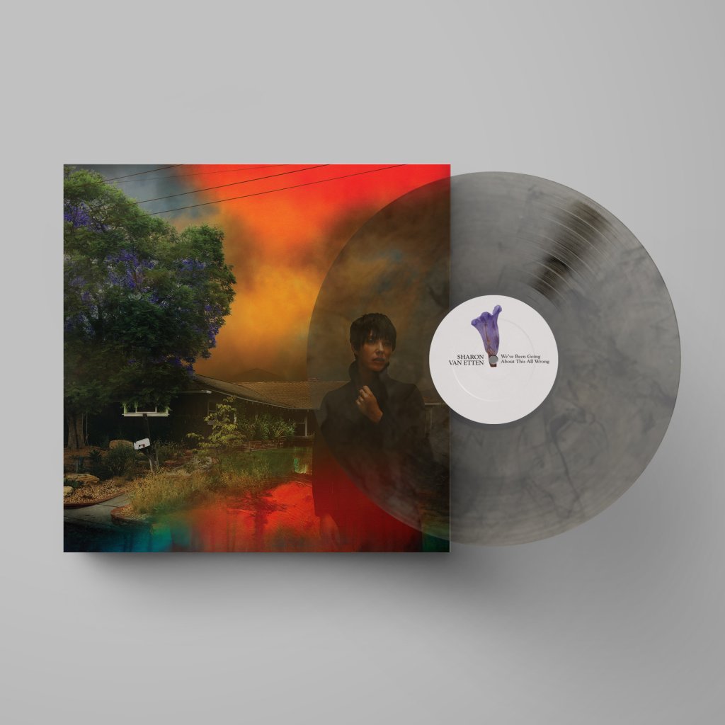 Sharon Van Etten - We've Been Going About This All Wrong - Lp