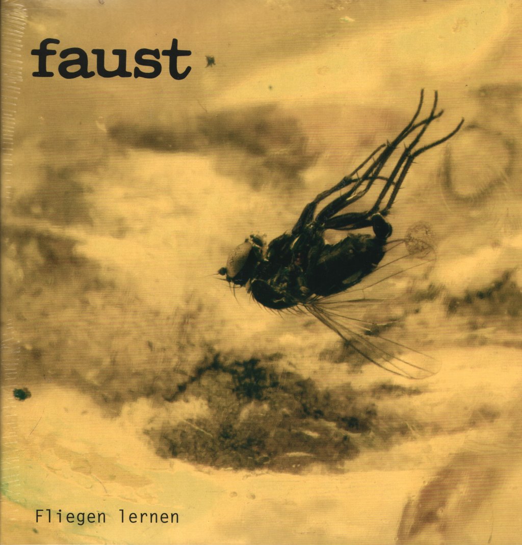 Faust - Fliggen Lernen - Lp
