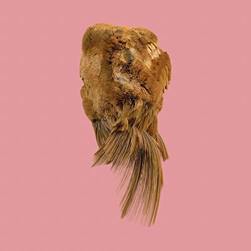 Holy Family - Values - Lp