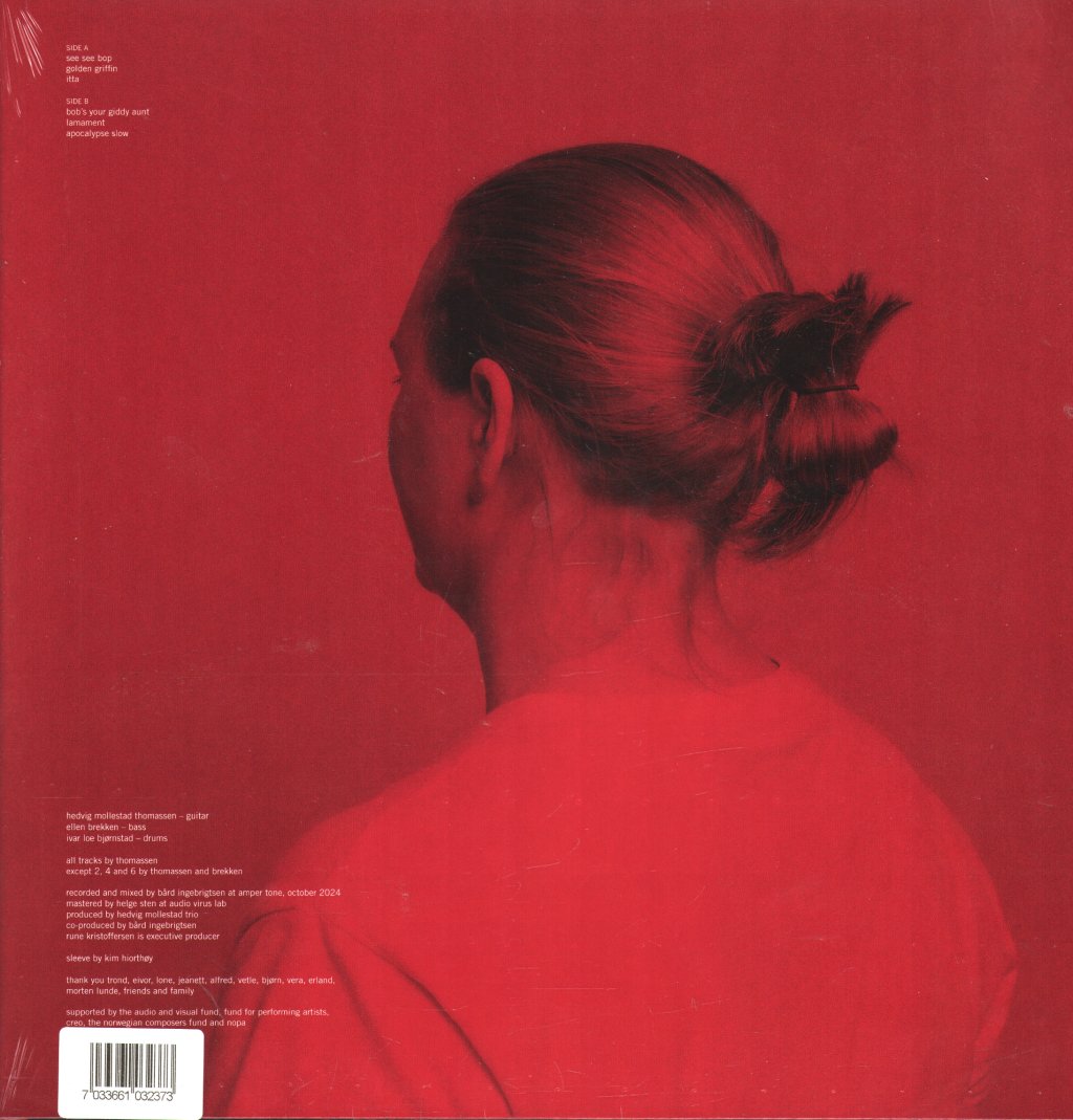 Hedvig Mollestad Trio - Bees In the Bonnet - Lp