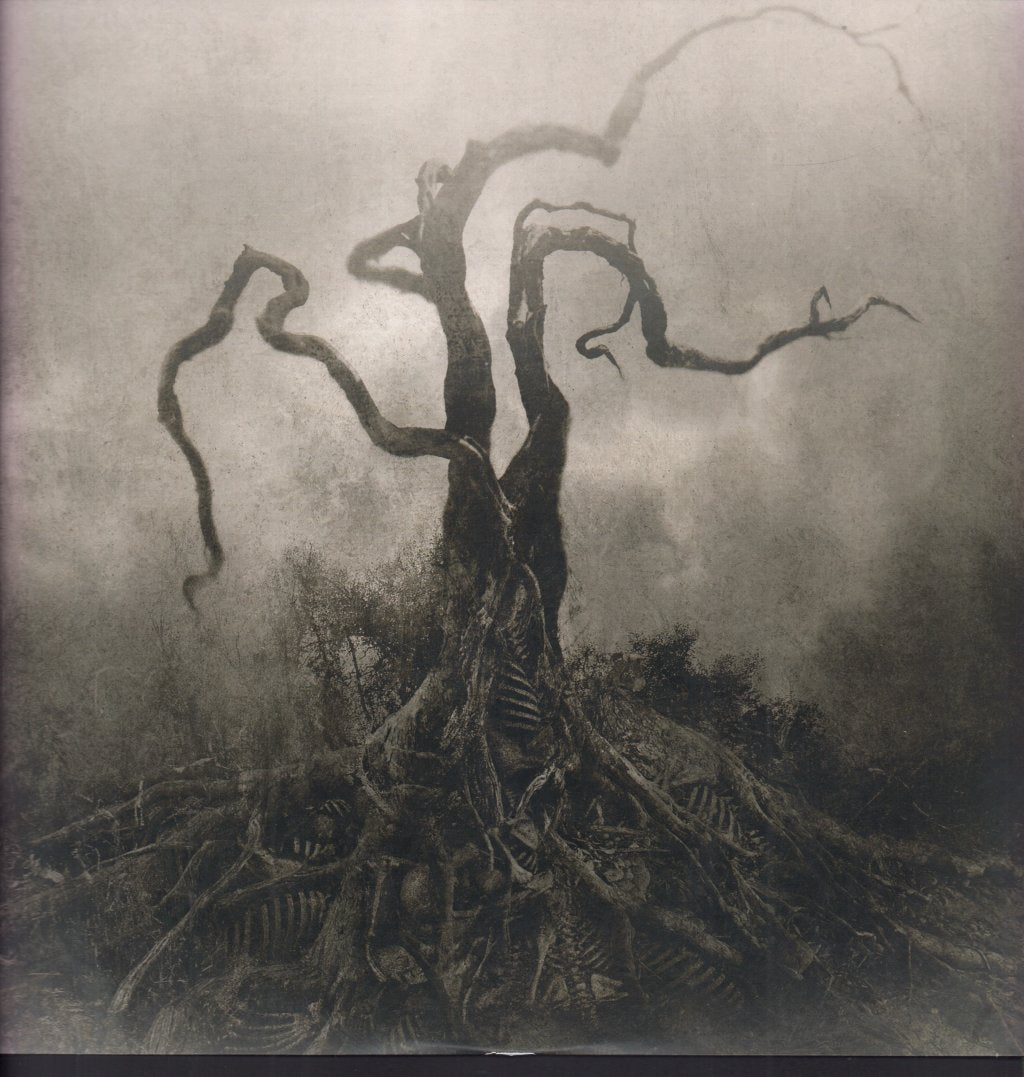 Opeth - Blackwater Park - Double Lp