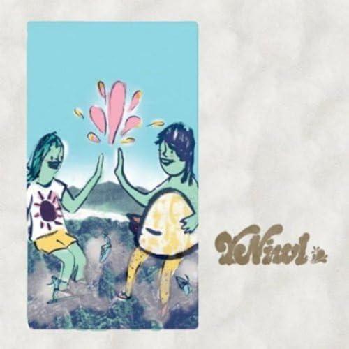 Y Niwl - Y Niwl - Cd