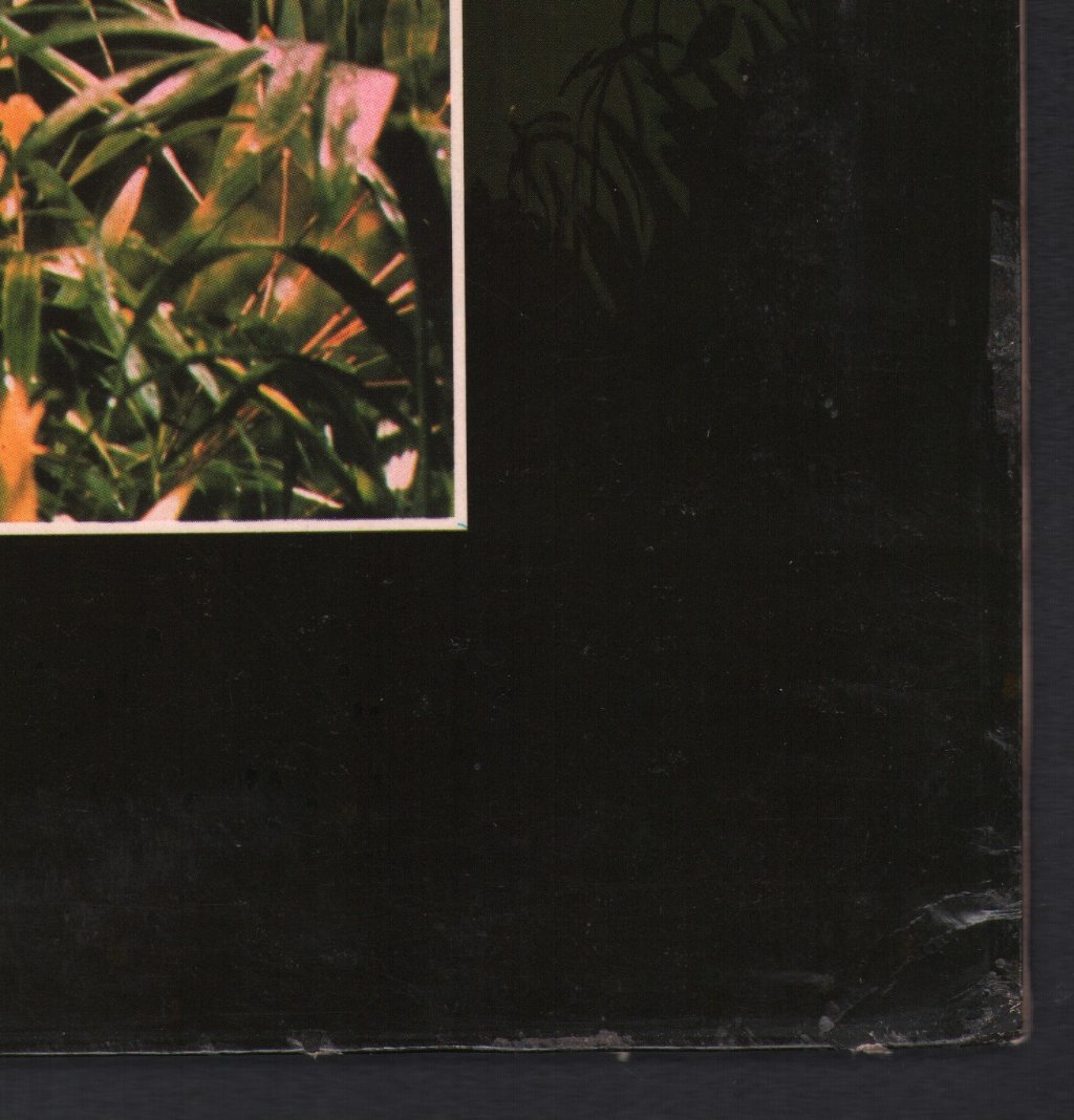 Deke Leonard - Kamikaze - Lp