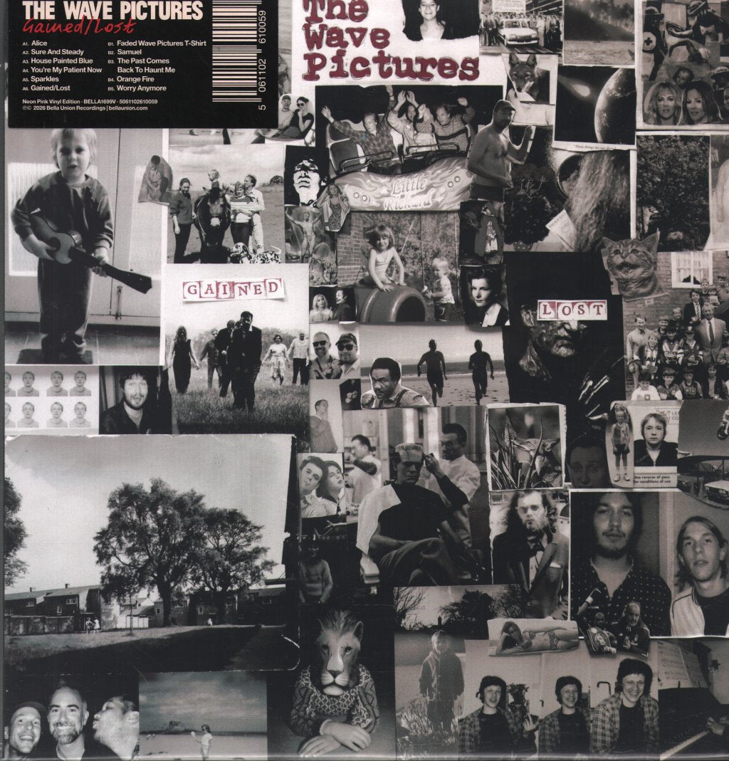 Wave Pictures - Gained/Lost - Lp