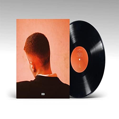 Joesef - Permanent Damage - Lp