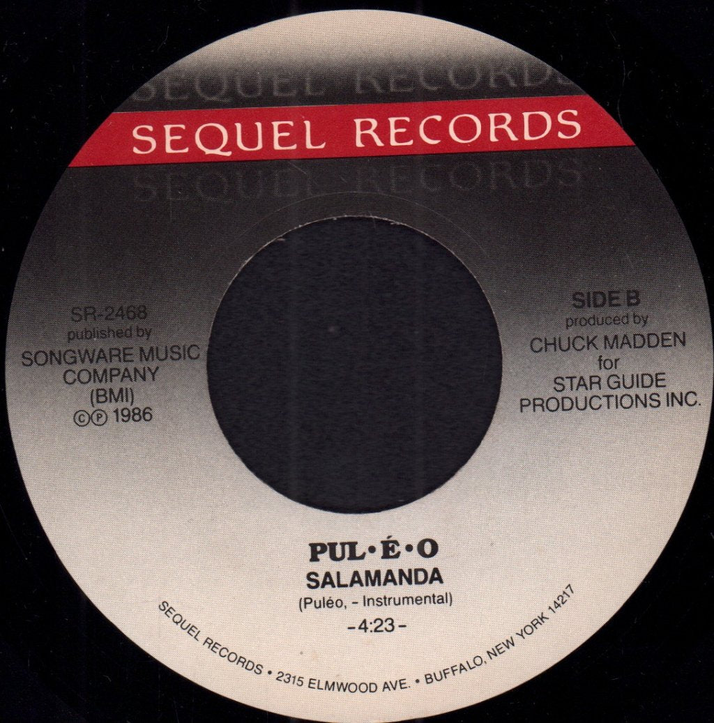 puleo - Lyin' Louie - 7 Inch