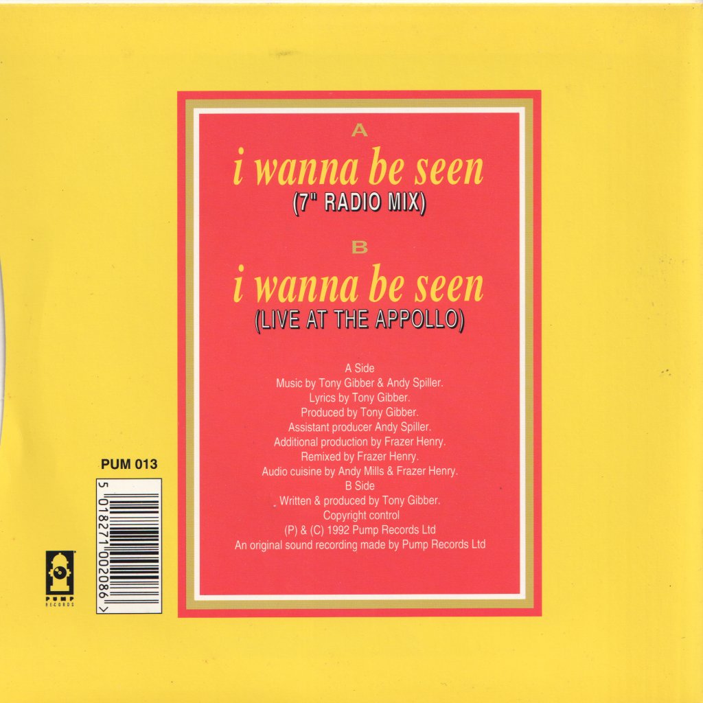 Spaghetti Head (90'S Group) - I Wanna Be Seen - 7 Inch