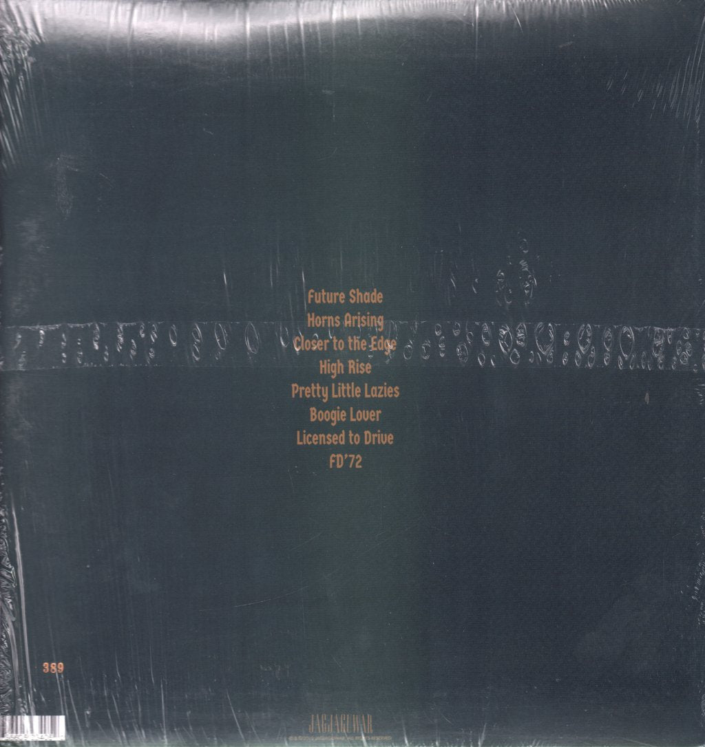 Black Mountain - Destroyer - Lp