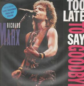 Richard Marx - Too Late To Say Goodbye - 12 Inch