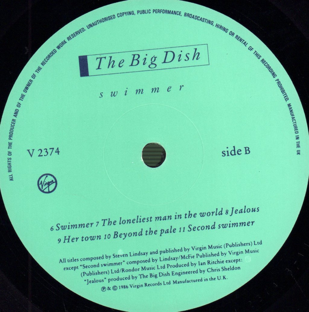 Big Dish - Swimmer - Lp