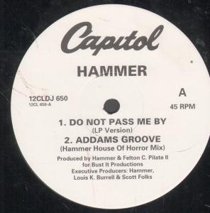 Hammer (Mc Hammer) - Do Not Pass Me By - 12 Inch