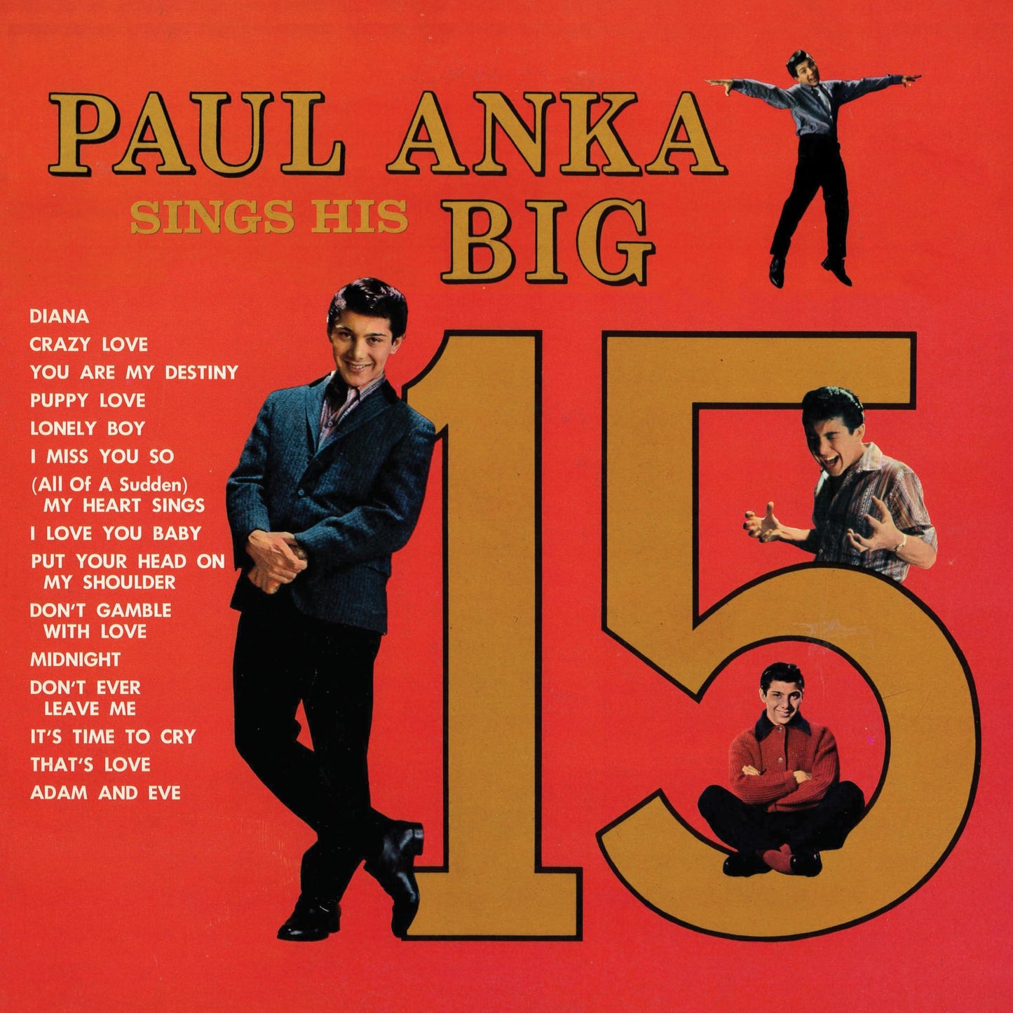 Paul Anka - Paul Anka Sings His Big 15 - Lp
