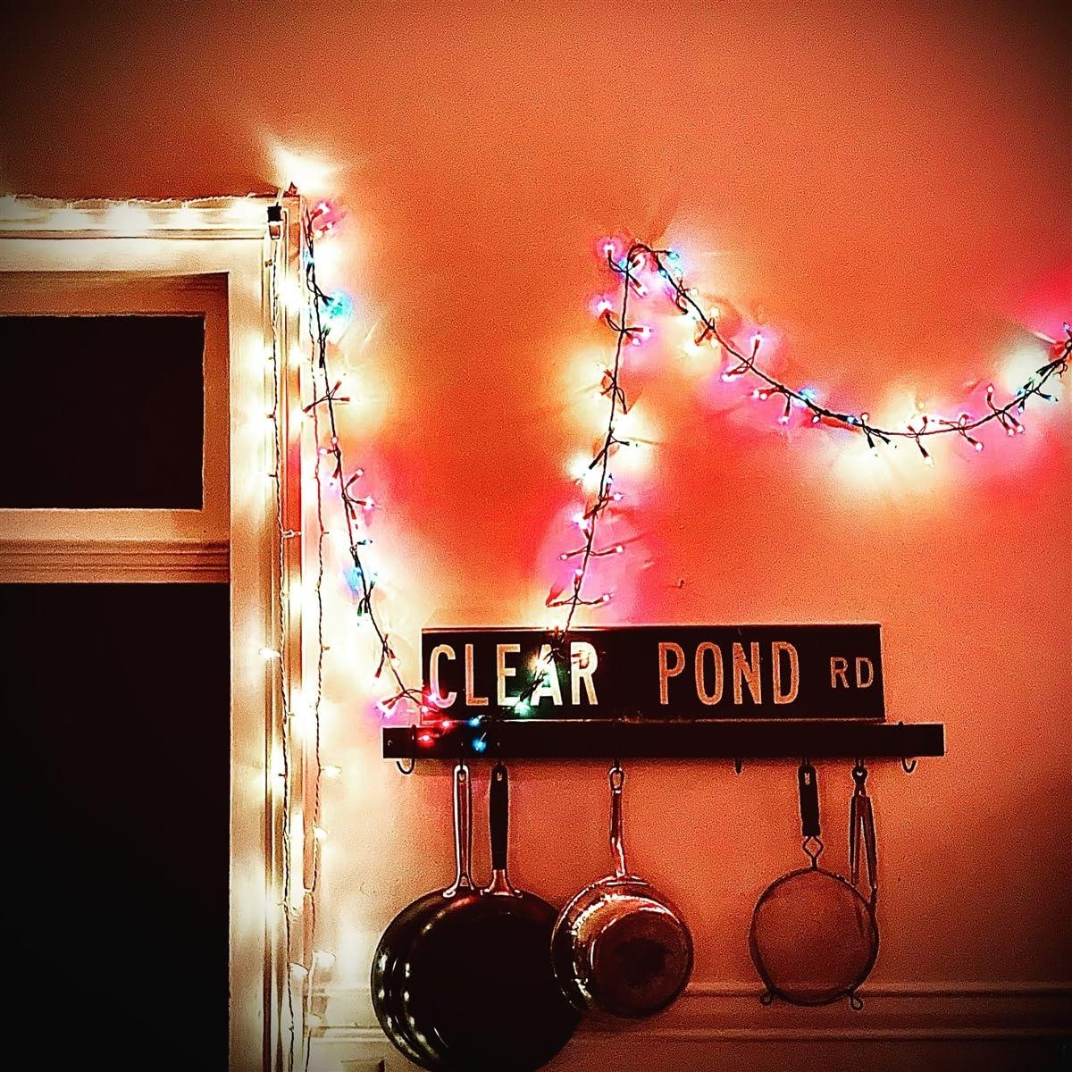 Kristin Hersh - Clear Pond Road - Lp