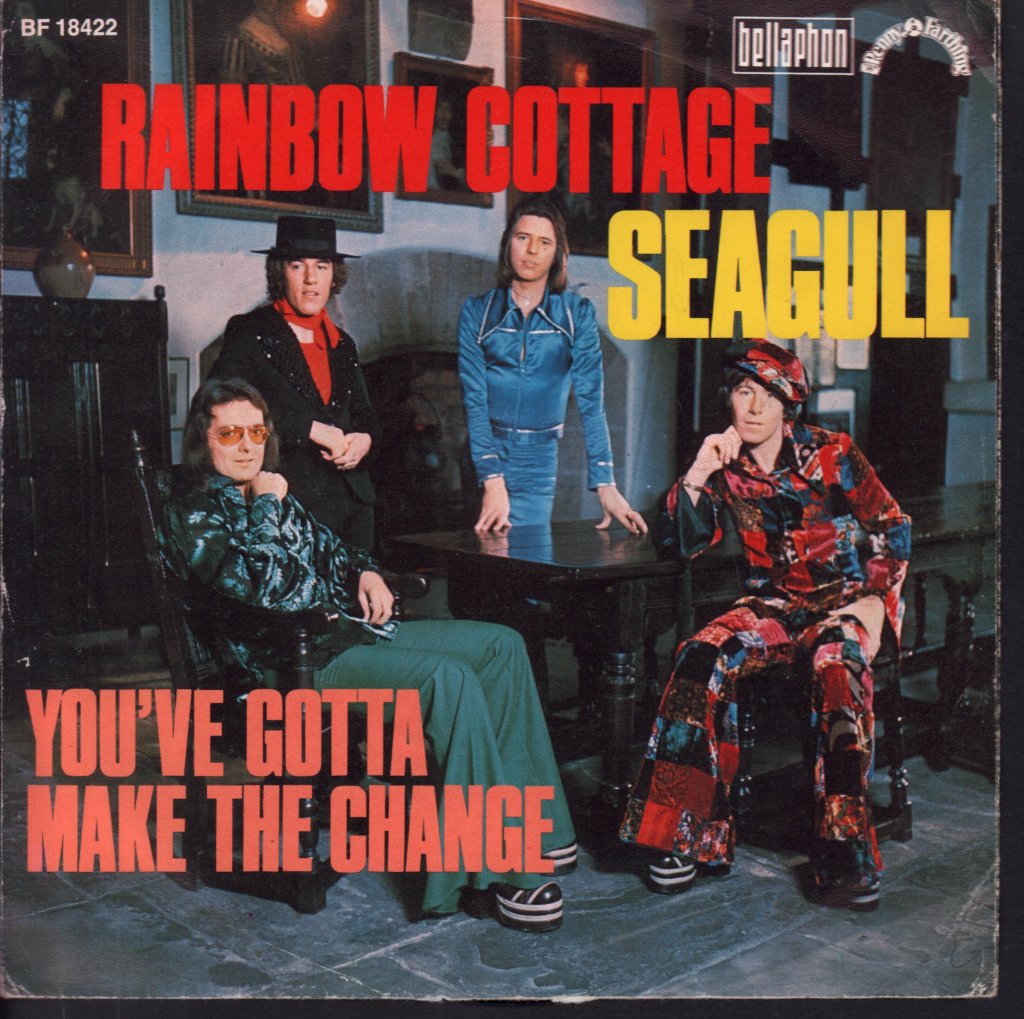 Rainbow Cottage - Seagull - 7 Inch