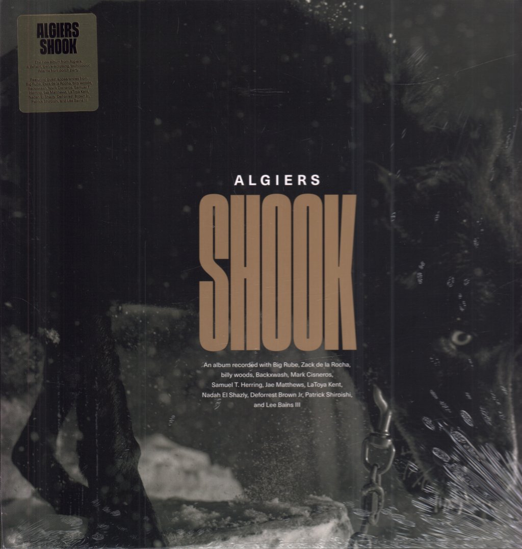 Algiers - Shook - Double Lp