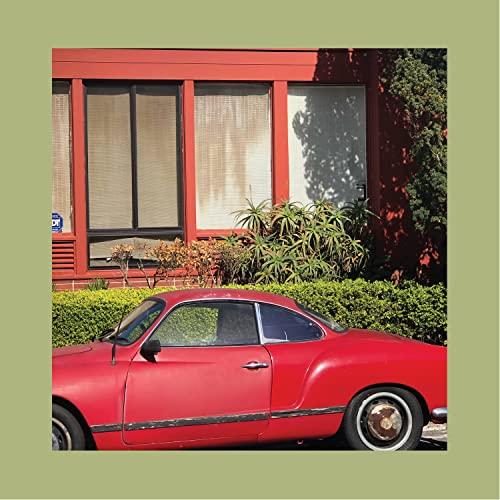 Reds Pinks and Purples - Town That Cursed Your Name - Lp