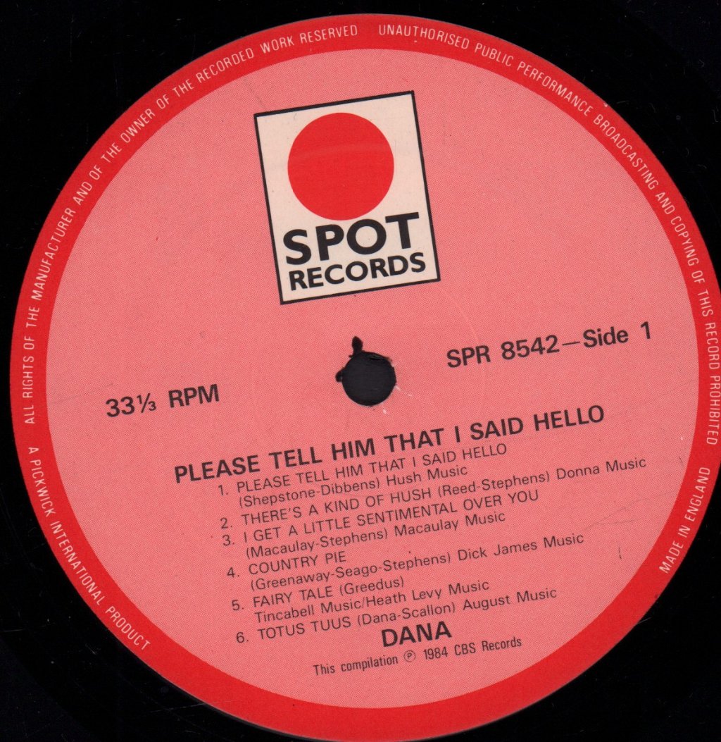 Dana - Please Tell Him That I Said Hello - Lp