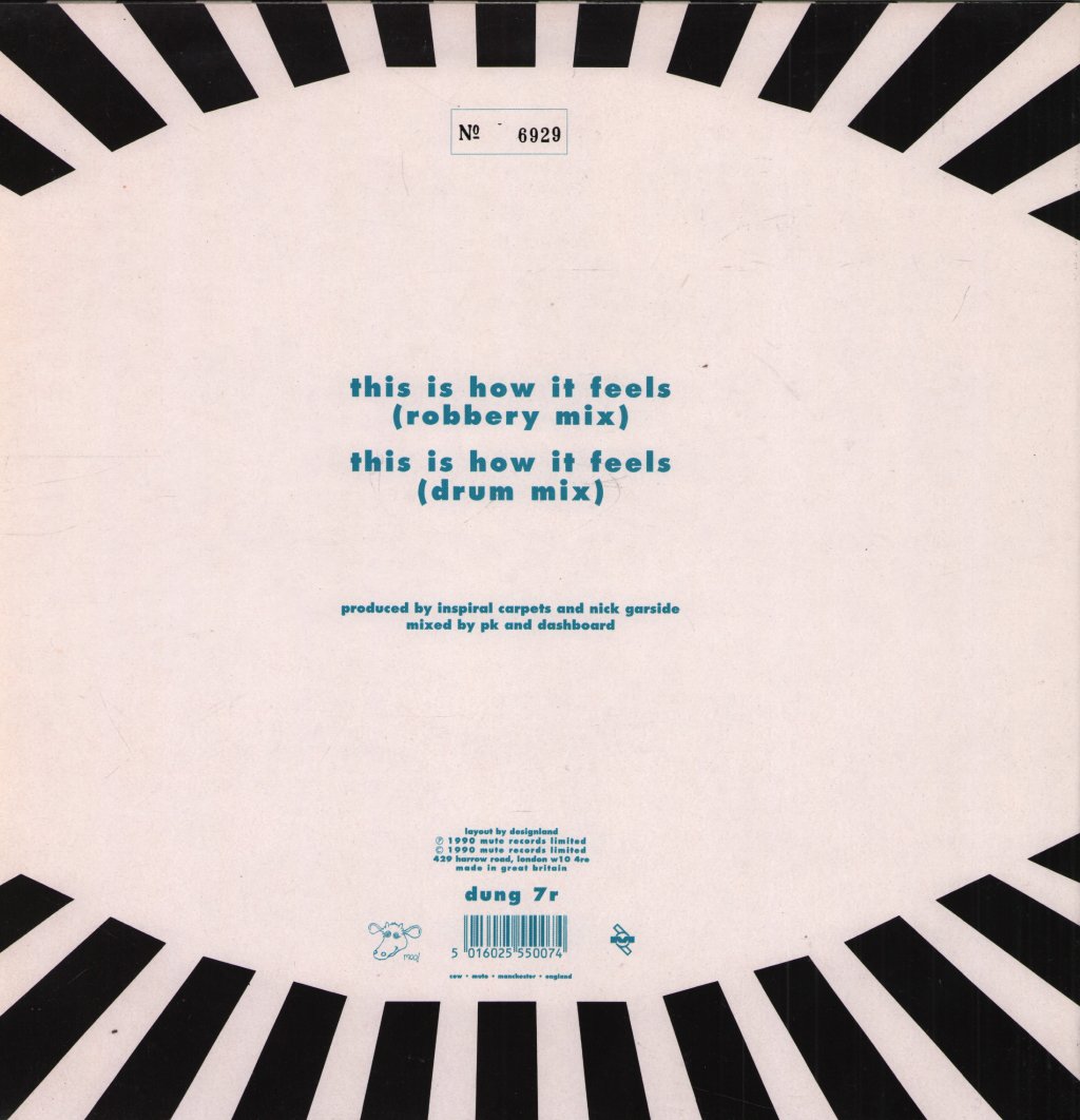 Inspiral Carpets - This Is How It Feels (Remix) - 12 Inch