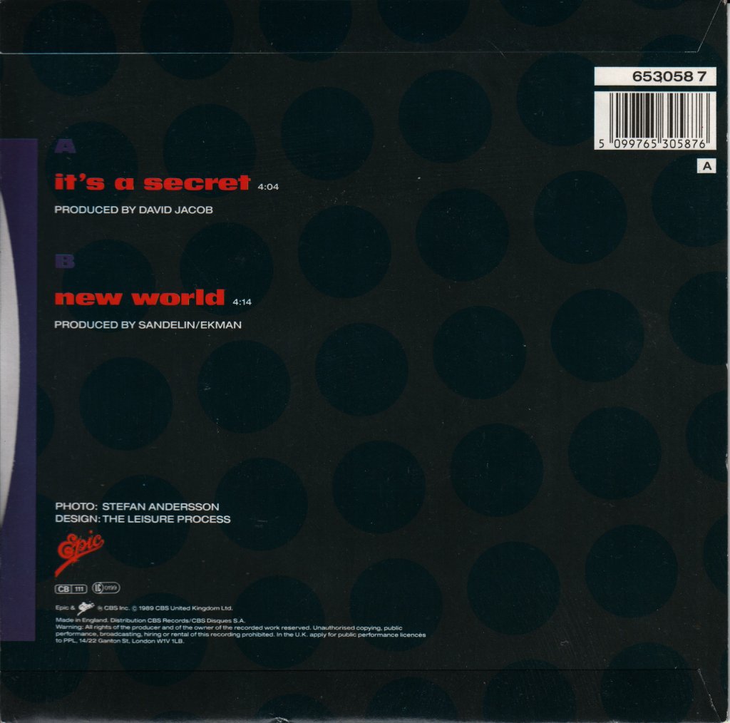 Style - It's A Secret - 7 Inch