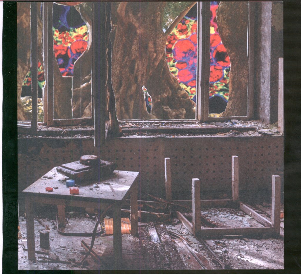 Forrest Friends - Forrest Friends - Cdr