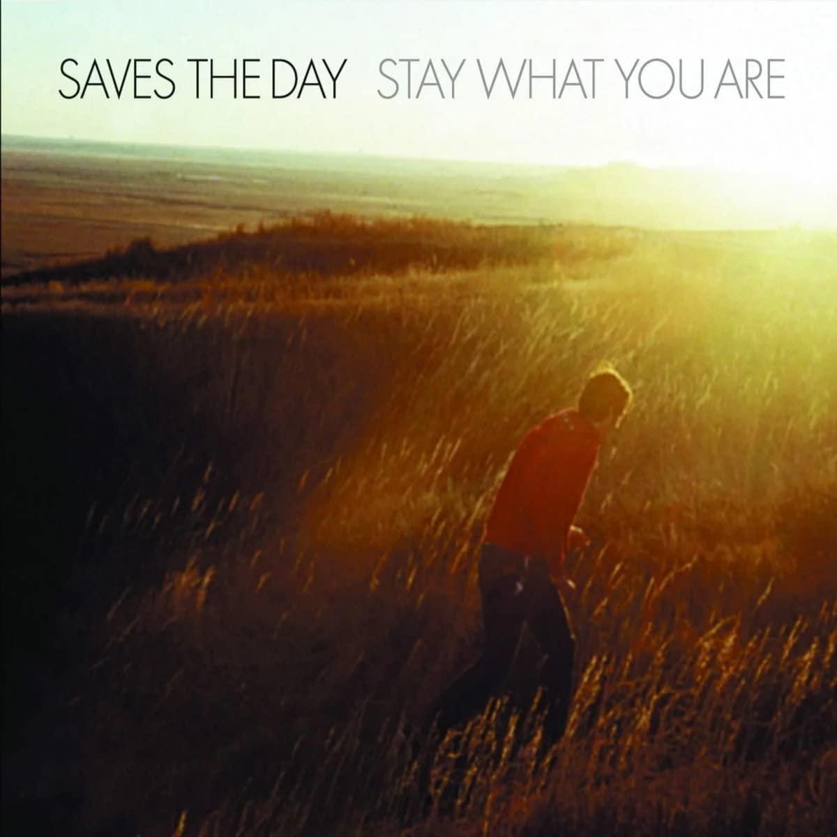 Saves The Day - Stay What You Are - Double 10 Inch