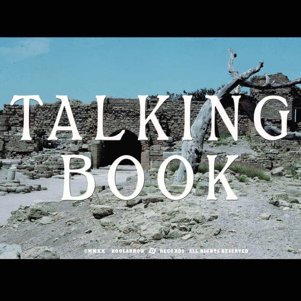 Talking Book - Talking Book II - Lp