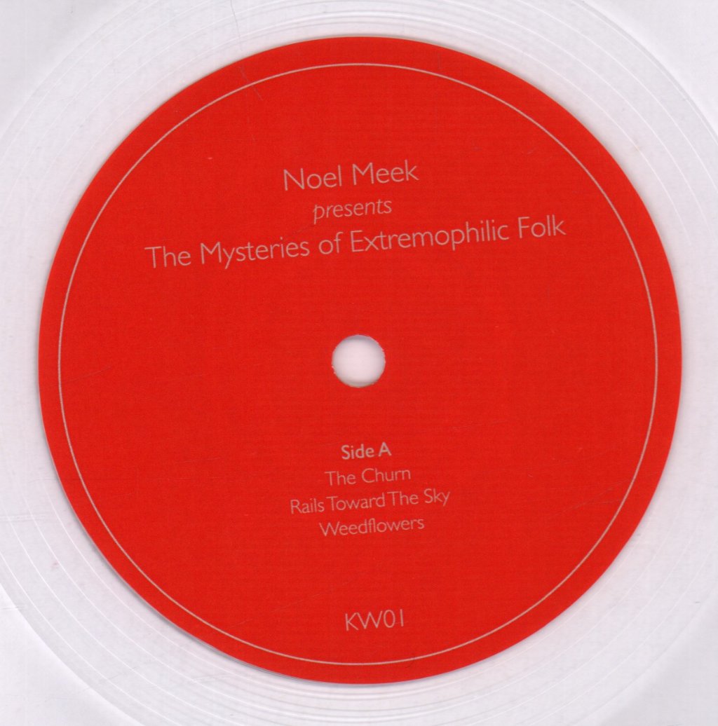 Noel Meek - Mysteries Of Extremophilic Folk - Lp