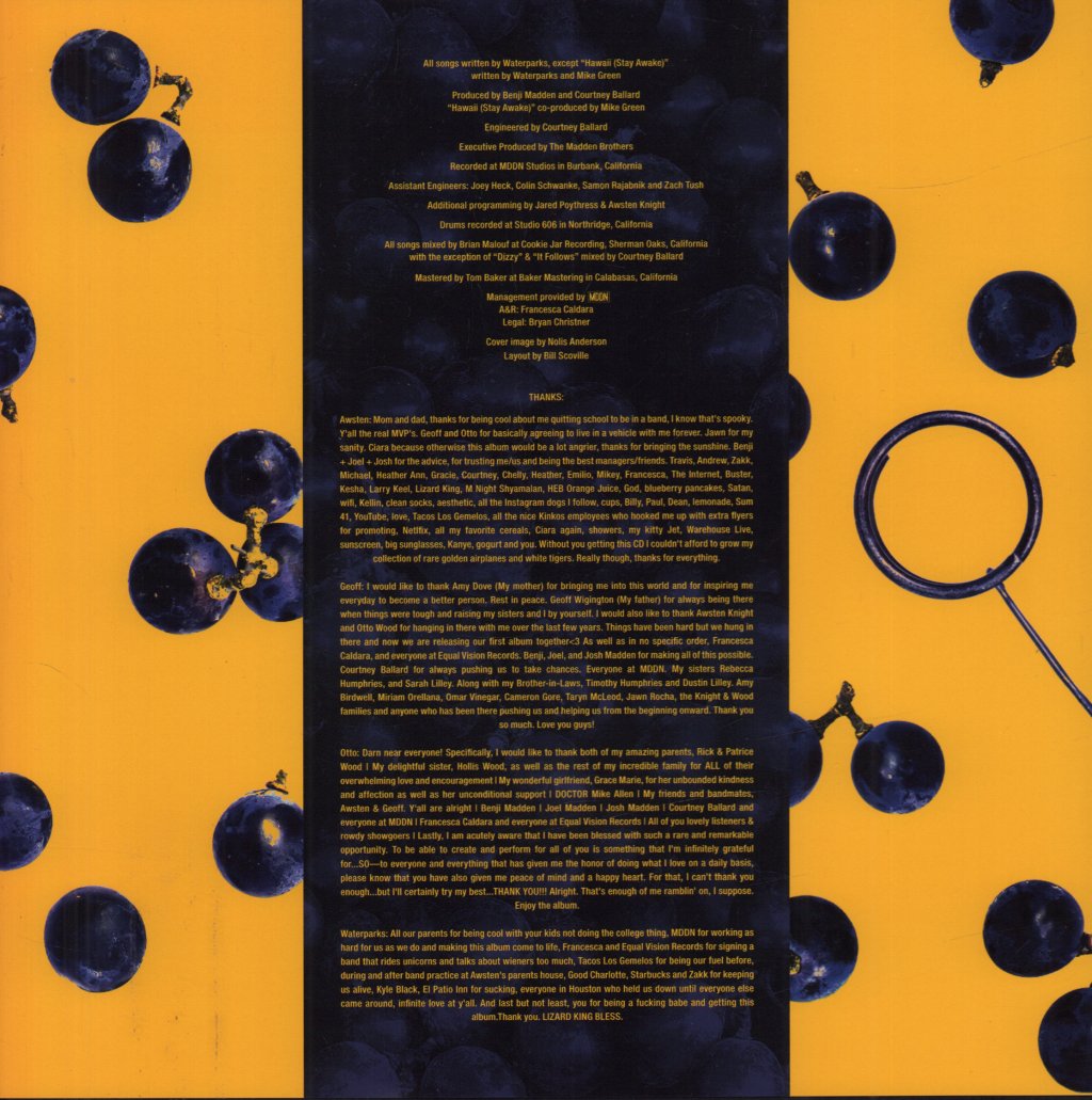 Waterparks - Double Dare - Lp