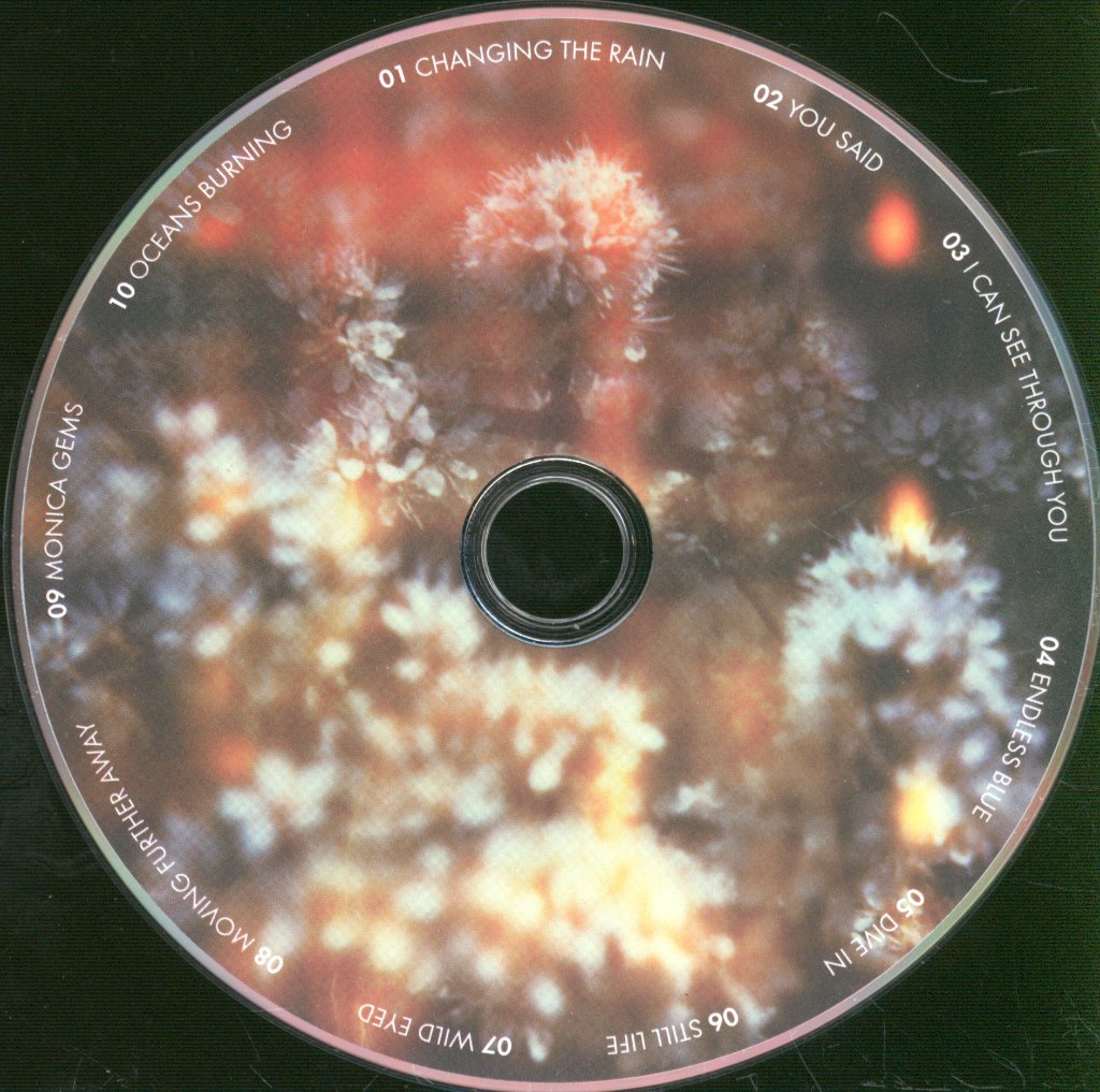 Horrors - Skying - Cd
