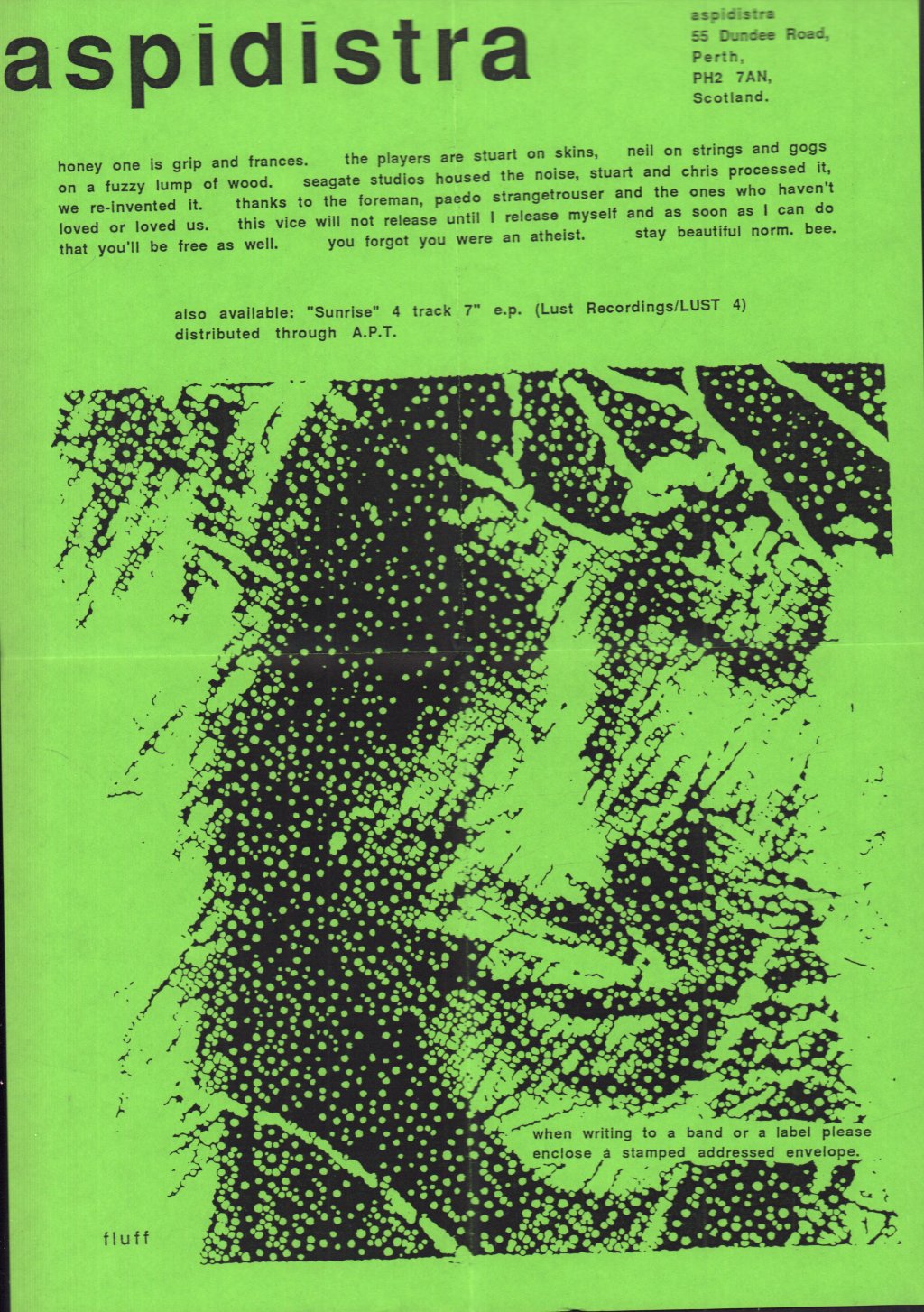 Aspidistra - Grip - 7 Inch
