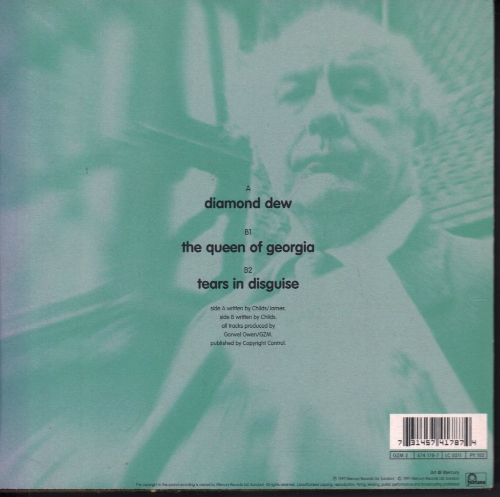 Gorky's Zygotic Mynci - Diamond Dew - 7 Inch