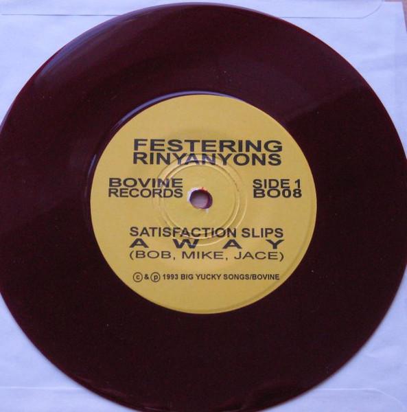 Festering Rinyanyons - Peacful Easy Feelin! - 7 Inch