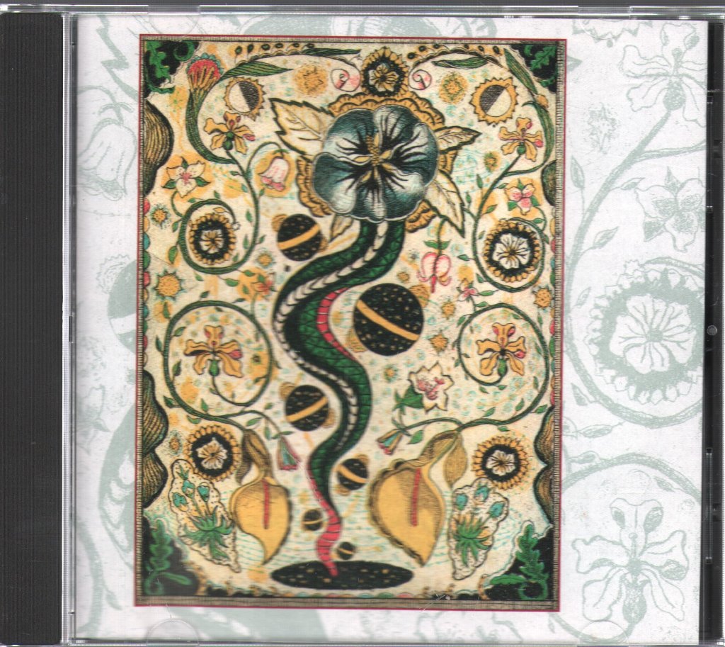 Steve Earle - I Feel Alright - Cd
