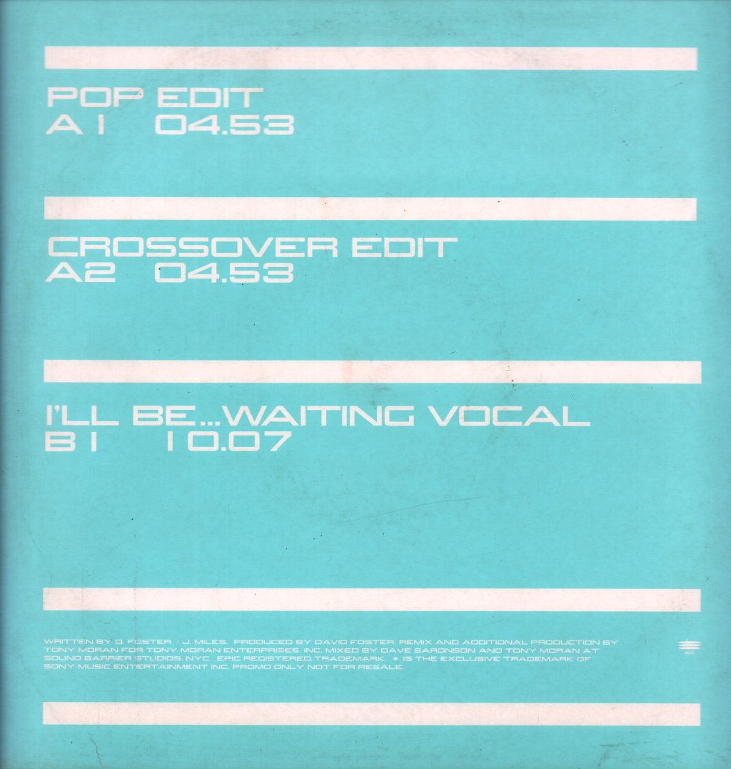 Celine Dion - To Love You More - 12 Inch