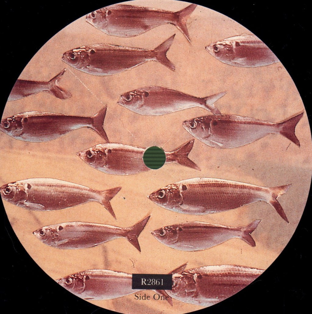 Levitation - Need For Not - Lp