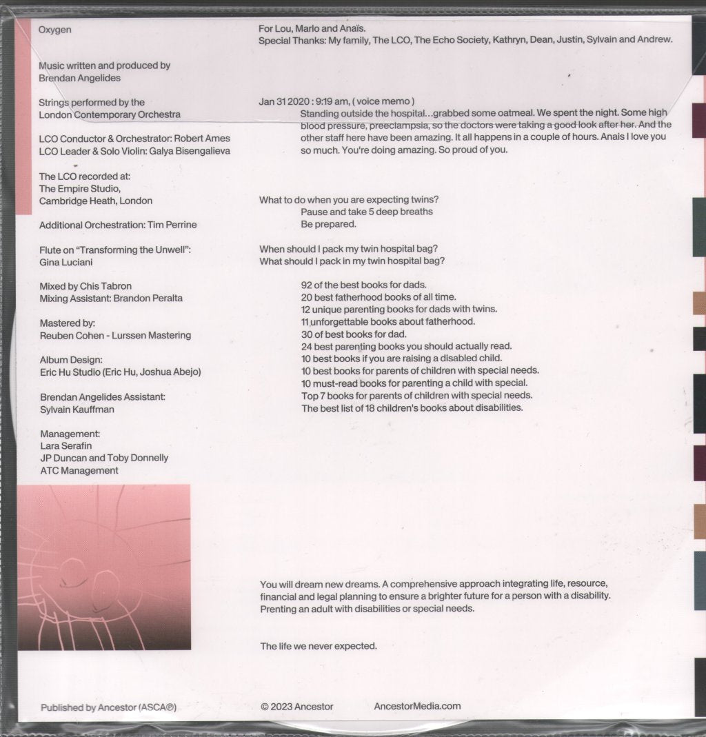 Brendan Angelides - Oxygen - Lp