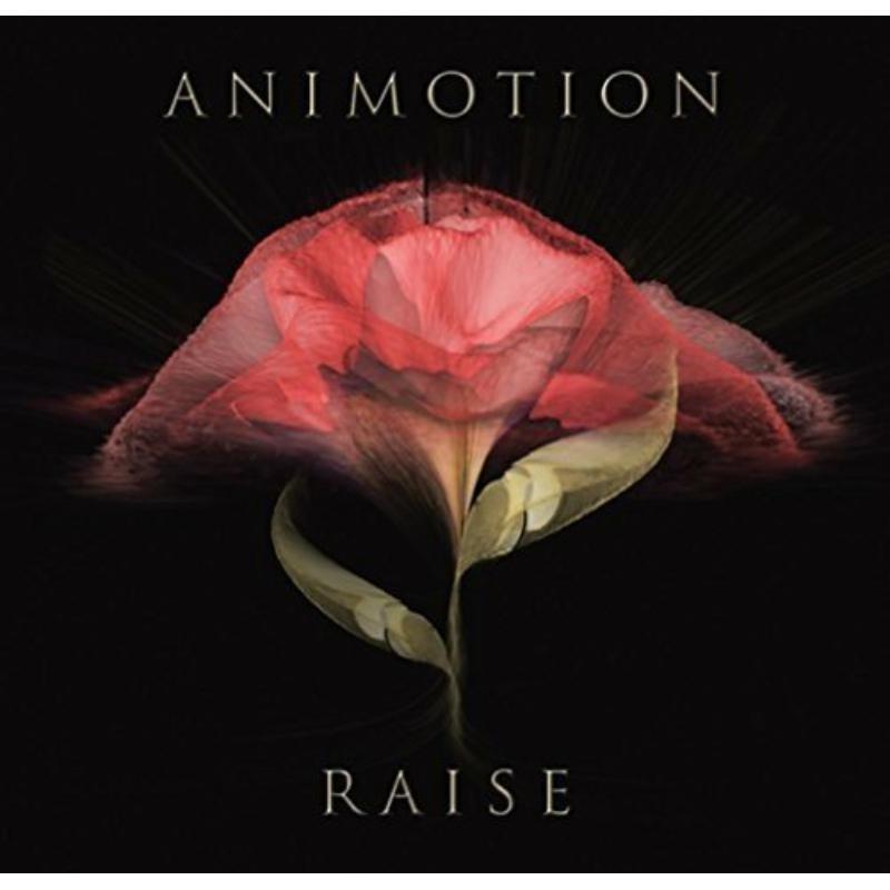Animotion - Raise Your Expectations - Lp