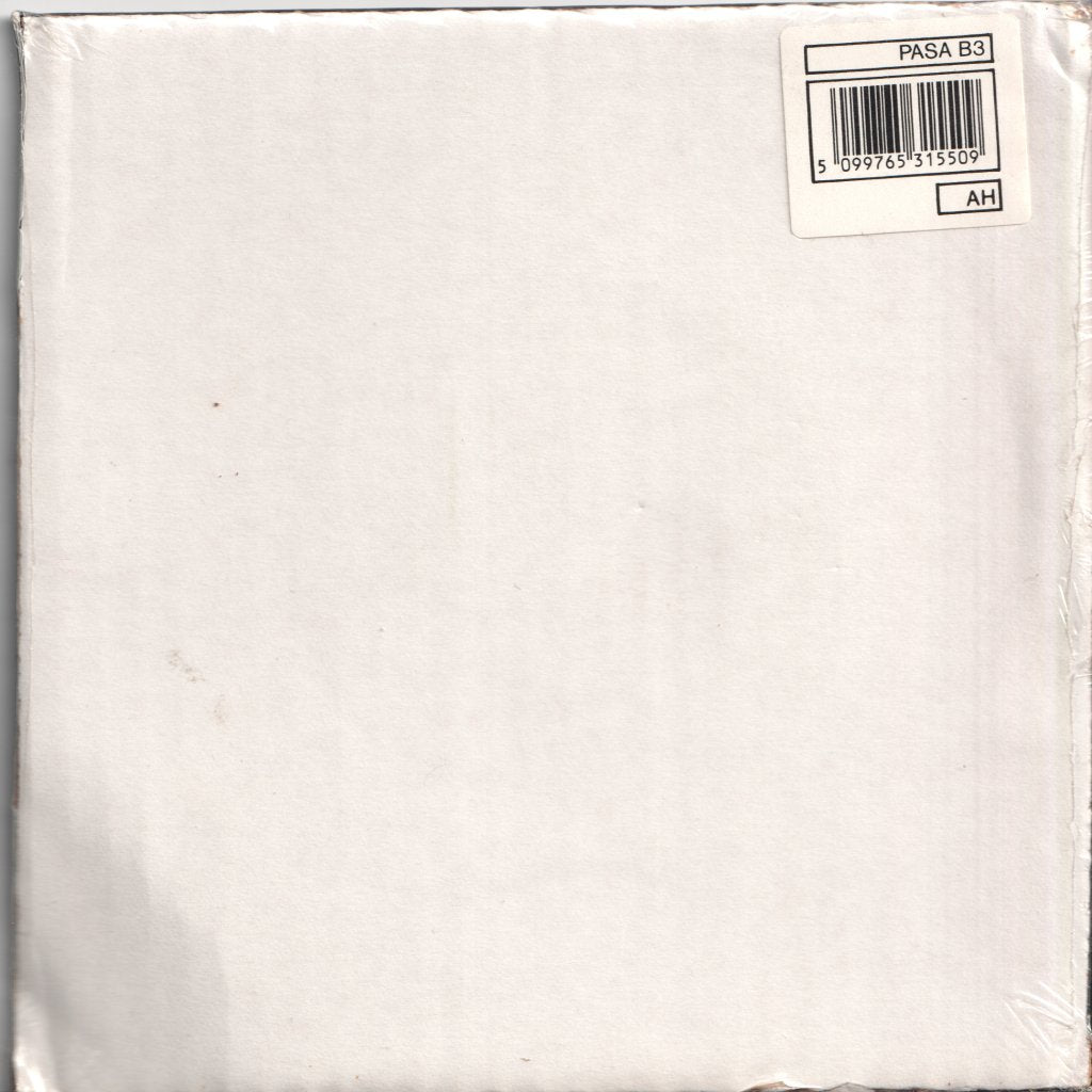 Pasadenas - Enchanted Lady - 7 Inch