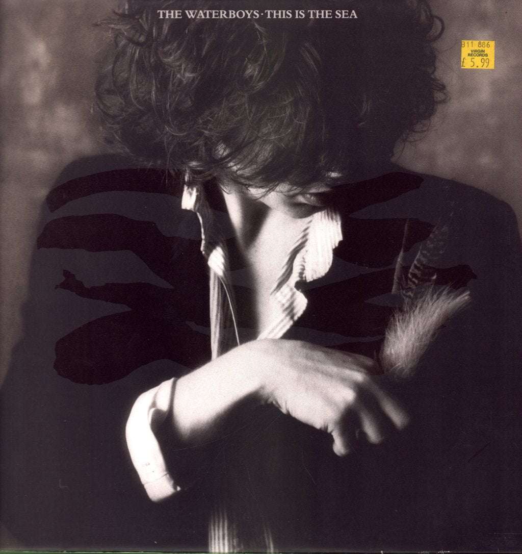 Waterboys - This Is The Sea - Lp