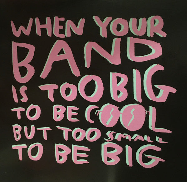 Various Artists - When Your Band Is Too Big To Be Cool But Too Small To Be Big - Cd