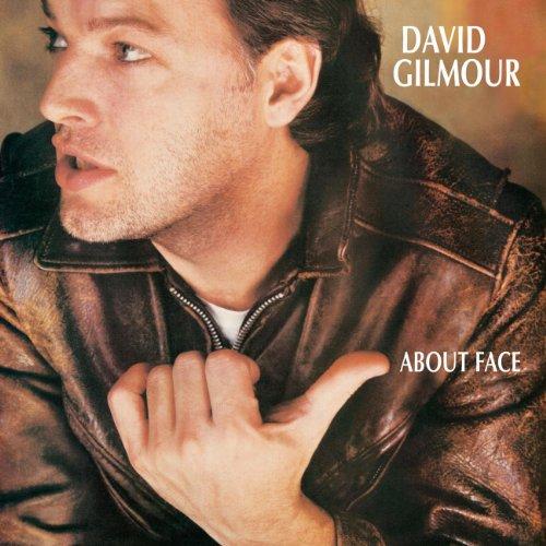 David Gilmour - About Face - Cd