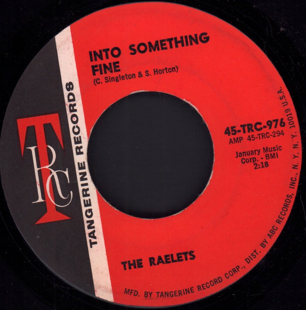 Raelets - Into Something Fine - 7 Inch