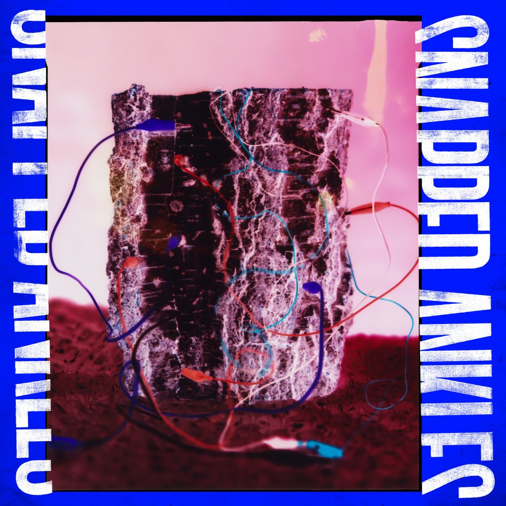 Snapped Ankles - Forest Of Your Problems - Lp