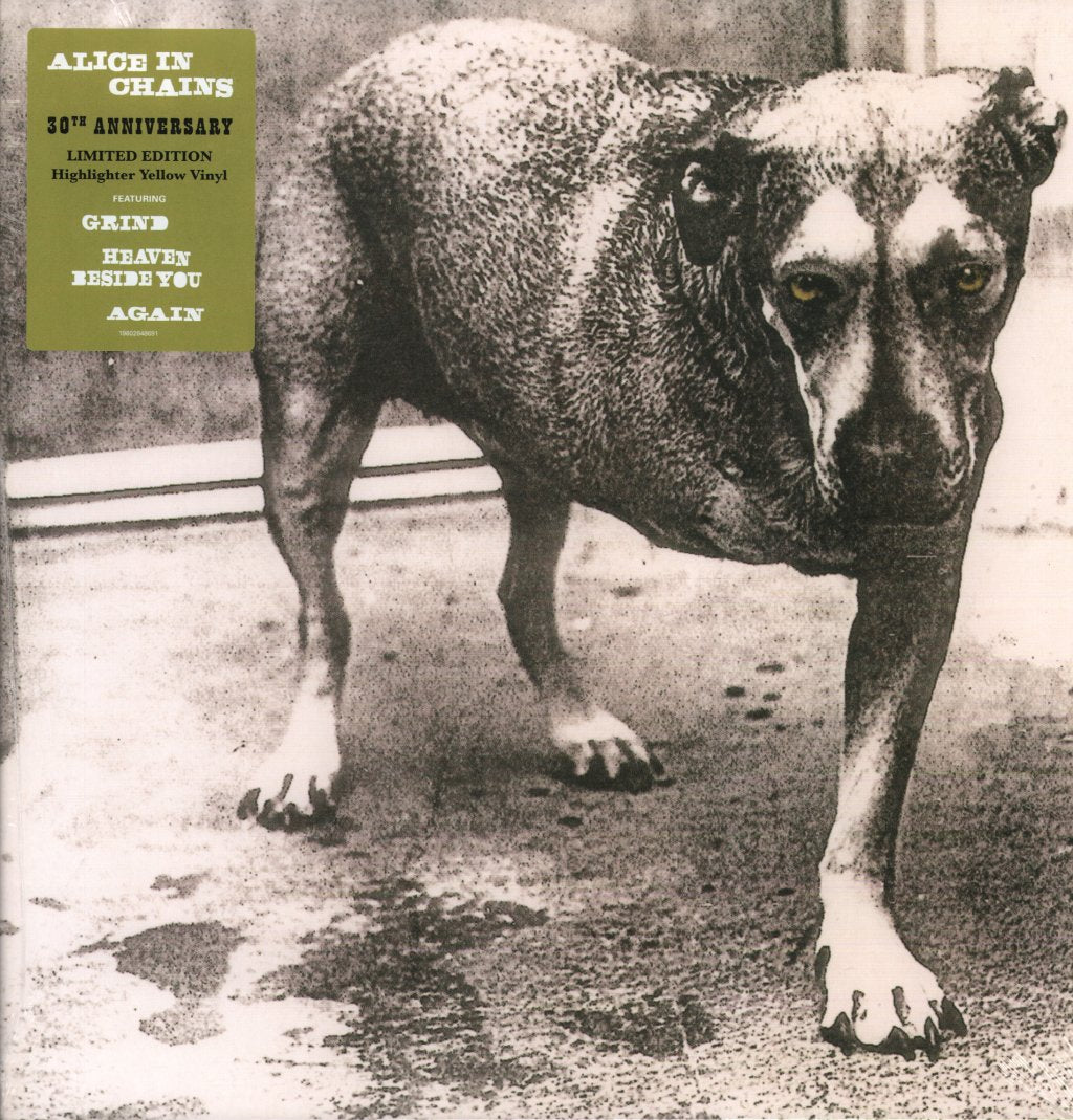 Alice In Chains - Alice In Chains (30th Anniversary) - Double Lp