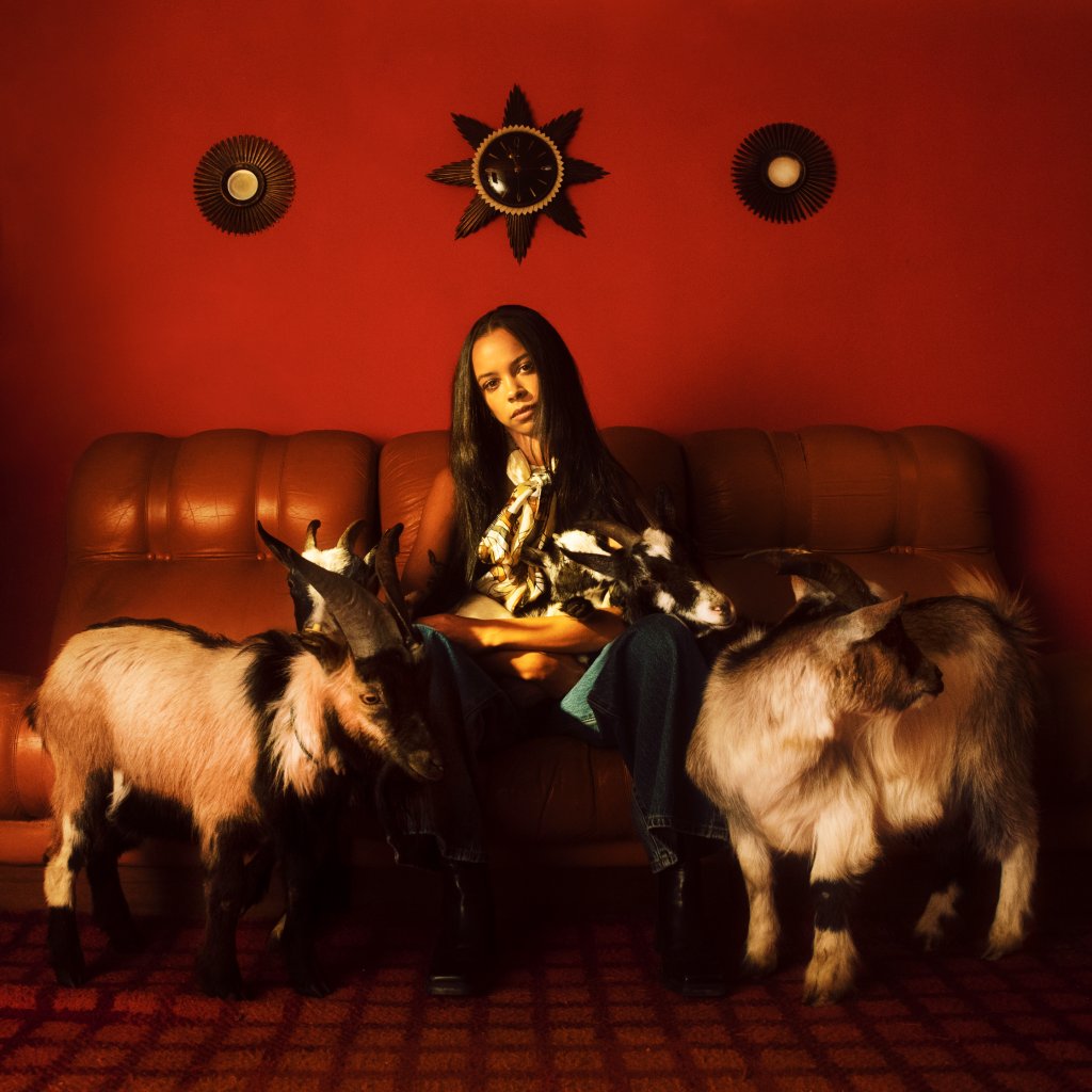 TSHA - Capricorn Sun (Dinked Edition #204) - Double Lp