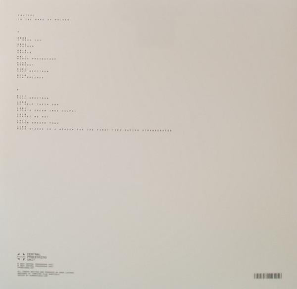 Faltydl - In The Wake Of Wolves - Lp