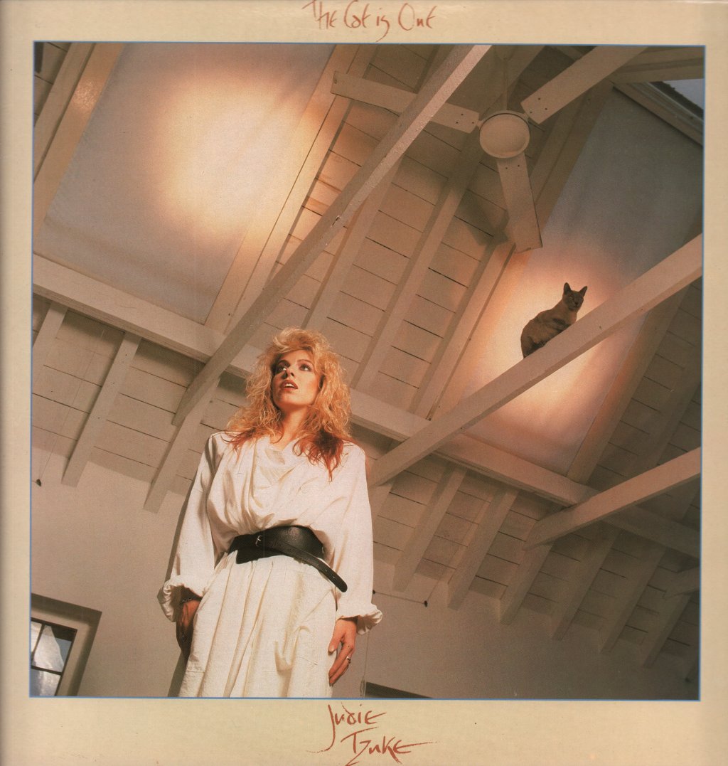 Judie Tzuke - Cat Is Out - Lp